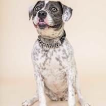 Thumbnail photo of Saint #4