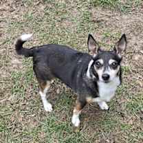 Thumbnail photo of Tiny #1