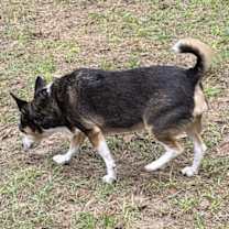 Thumbnail photo of Tiny #2