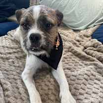 Thumbnail photo of Freddy #1