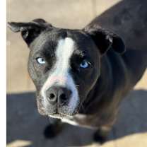 Thumbnail photo of Cheer #2