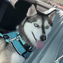 Thumbnail photo of Winter #1