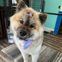 Thumbnail photo of PooBear #3