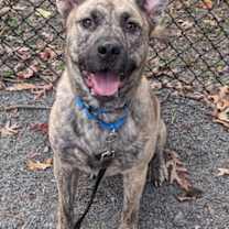 Thumbnail photo of Jack #1