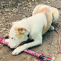 Thumbnail photo of Raspberry Jam #3