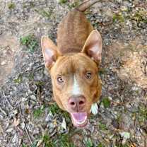 Thumbnail photo of Bullseye #4