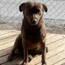 Thumbnail photo of Freya #1