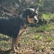 Thumbnail photo of Darlene #2