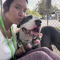 Thumbnail photo of Freya #4