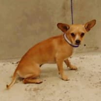 Thumbnail photo of Kentucky #2