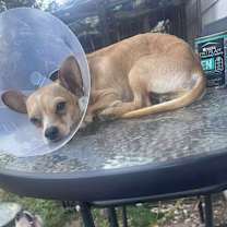 Thumbnail photo of Kentucky #3