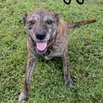 Thumbnail photo of JJ #3