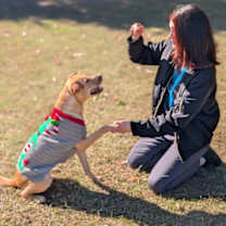 Thumbnail photo of Izzy #3