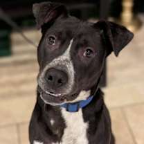 Thumbnail photo of Champion #2