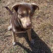 Thumbnail photo of TARZAN #3