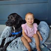 Thumbnail photo of Link #1