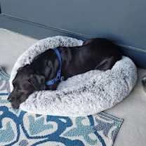 Thumbnail photo of Link #2