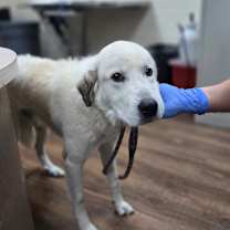 Thumbnail photo of James Baxter #3