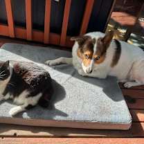 Thumbnail photo of Carl #3