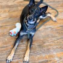 Thumbnail photo of Tina #2