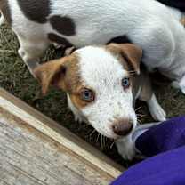 Thumbnail photo of Traci #2