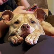 Thumbnail photo of Brady #1