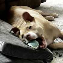 Thumbnail photo of Brady #2