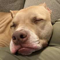 Thumbnail photo of Brady #3