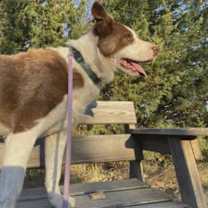 Thumbnail photo of Cooper #3