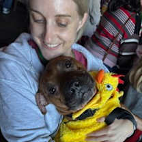 Thumbnail photo of Llama #3