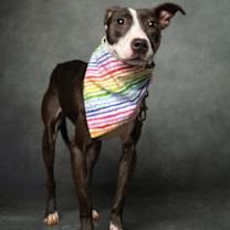 Thumbnail photo of Delilah #2