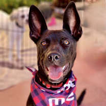 Thumbnail photo of Lilah #1