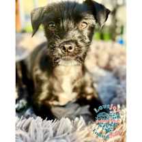 Thumbnail photo of Tito Taco #1