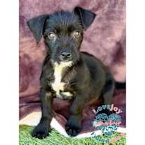 Thumbnail photo of Tito Taco #2