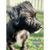 Thumbnail photo of Tito Taco #3