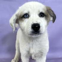 Thumbnail photo of Sally #1