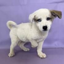 Thumbnail photo of Sally #2