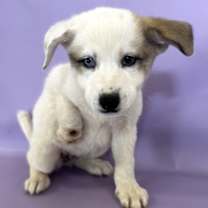 Thumbnail photo of Sally #3