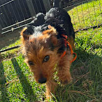 Thumbnail photo of Theo Knox #2