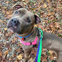 Thumbnail photo of Julia #2