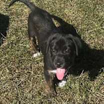 Thumbnail photo of May #1