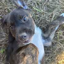 Thumbnail photo of May #4