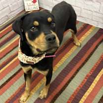 Thumbnail photo of Tilly #2