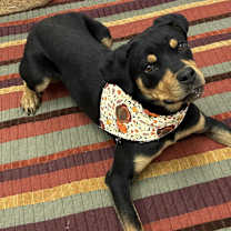 Thumbnail photo of Tilly #4