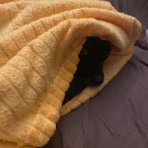 Thumbnail photo of Luna Bell #4