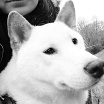 Thumbnail photo of Casper #4