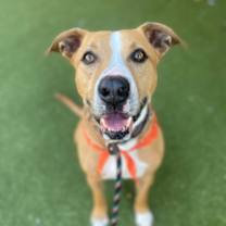 Thumbnail photo of Andy #1