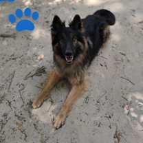 Thumbnail photo of Phantom #3