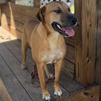 Thumbnail photo of Darla #1