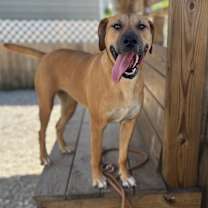 Thumbnail photo of Darla #2